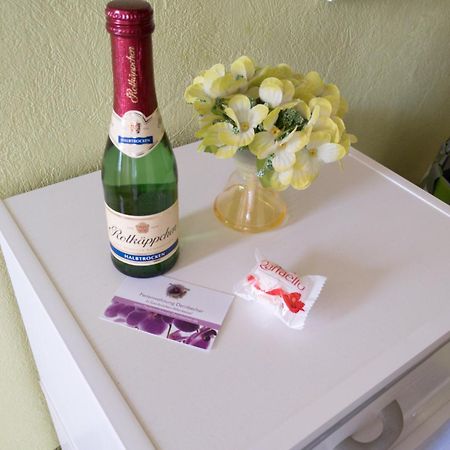 Ferienwohnung Dernbecher Saarbrücken Eksteriør bilde